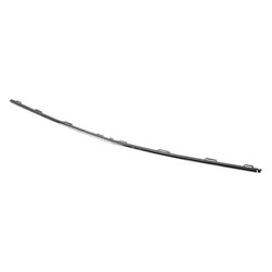1178854900 BUMPER MOULDING- LOWER- CHROME- W/O Plan Image