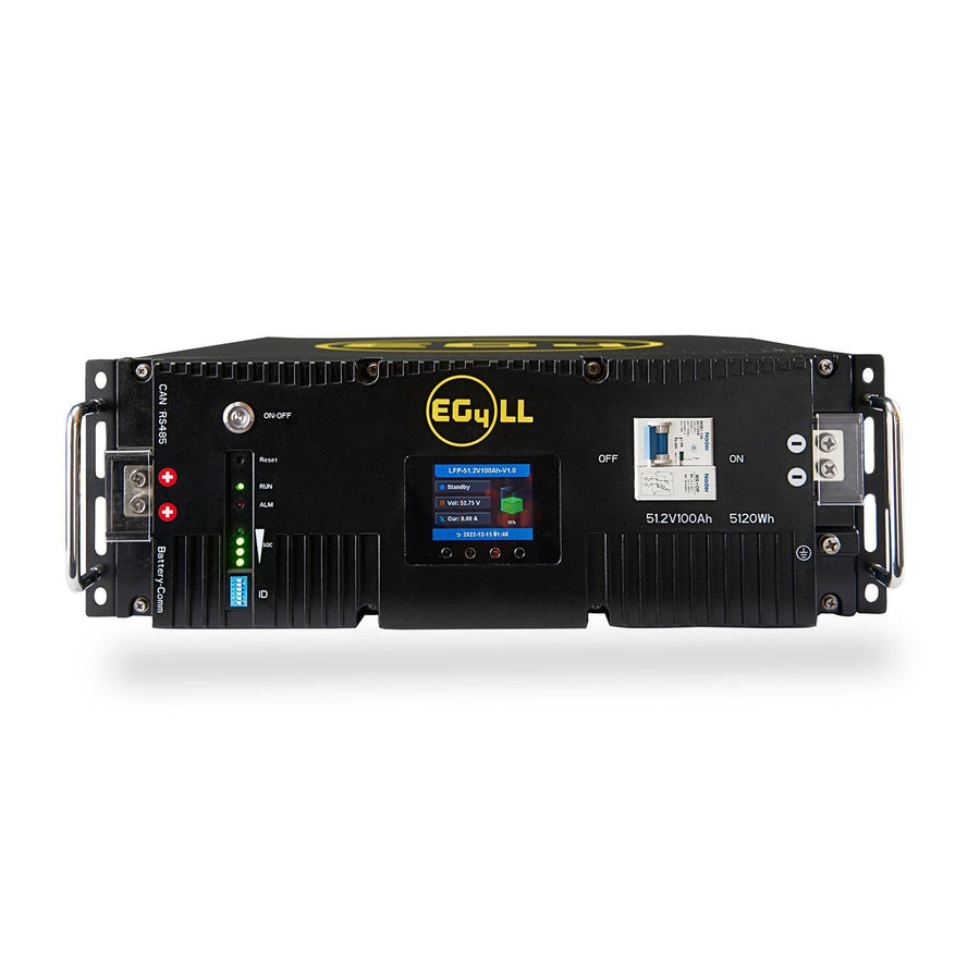 LiFePO4 battery module