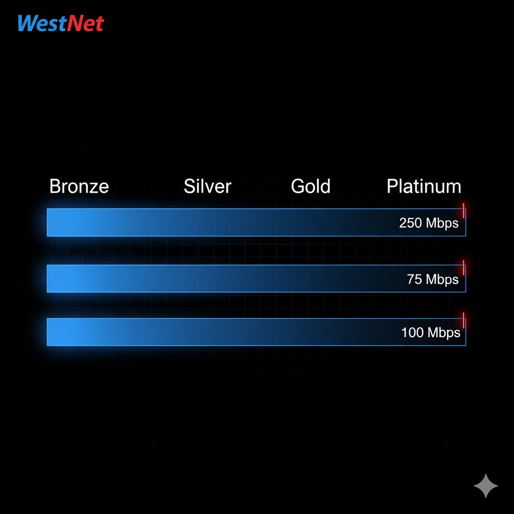 WestNet Captive Portal: Bandwidth Tier Management