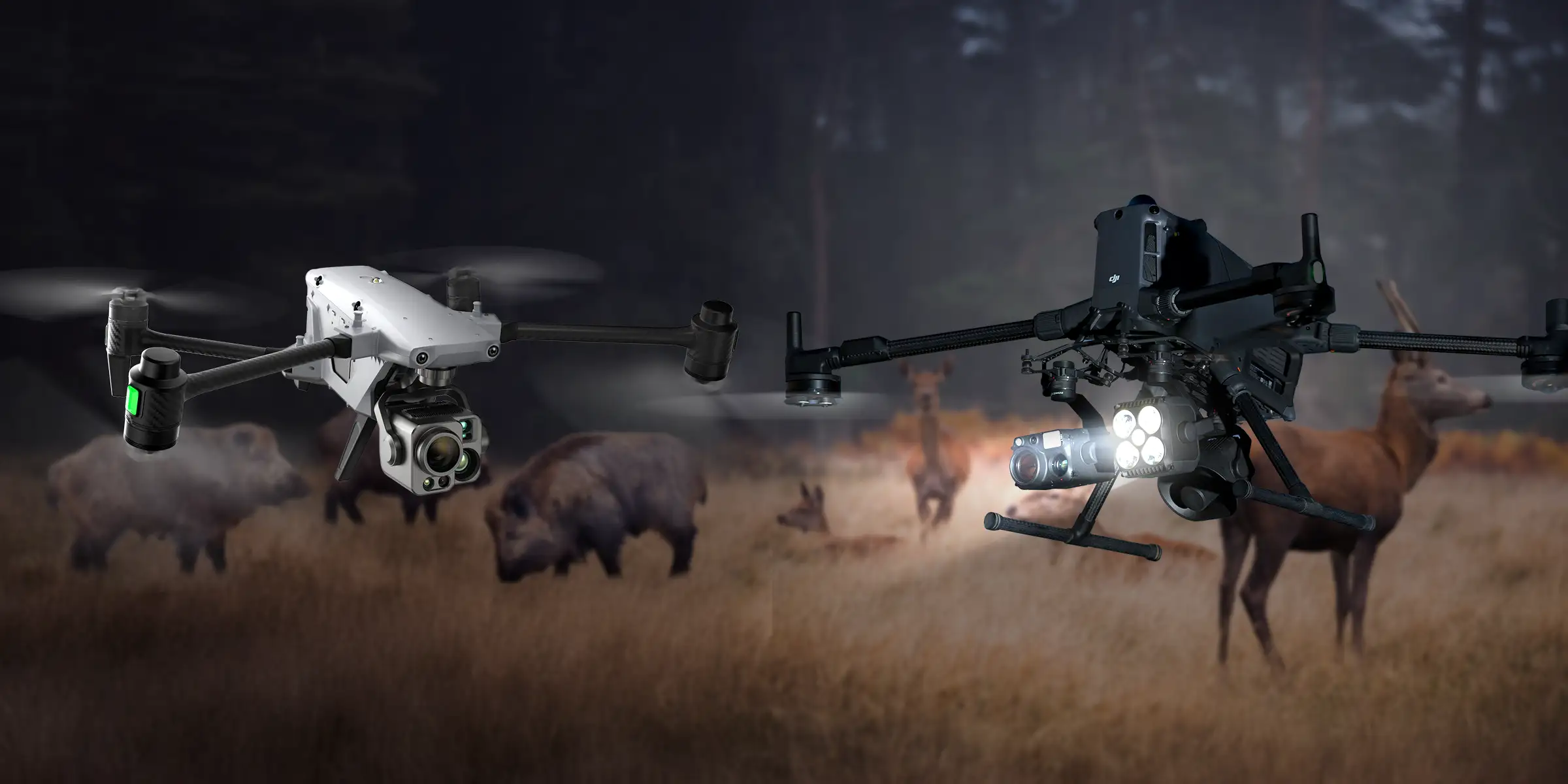 Alberta's High-Tech Arsenal: AI Drones Take Flight Against Invasive Wild Boar Menace