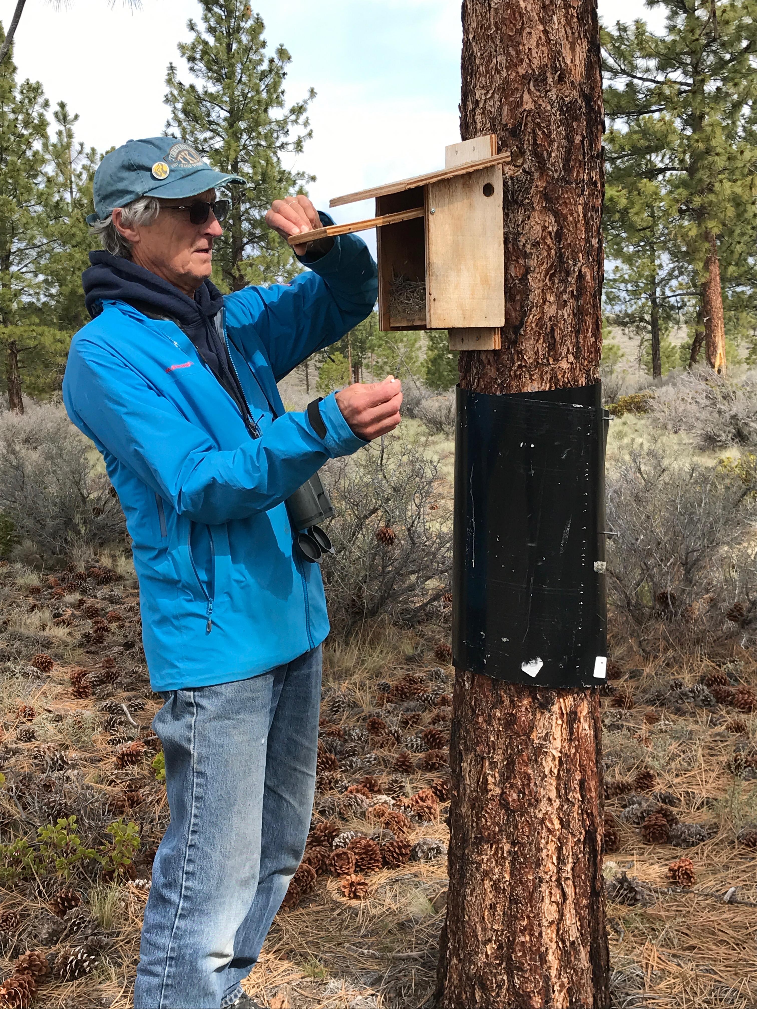 Calgary Bird Lovers Are Building a Better Homes Program — For Feathered Friends