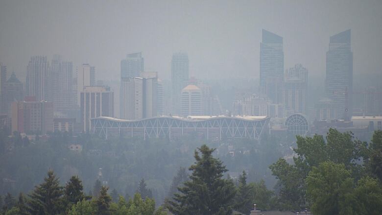 Calgary Braces for Wildfire Threat as City Develops Emergency Urban Strategy