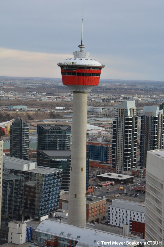 Calgary Internet Provider WestNet Expands Services with Multiple Infrastructure Projects