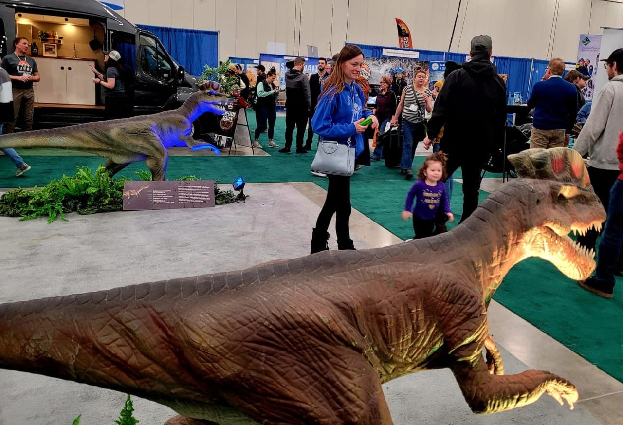 Calgary's Weekend in Motion: Science Fair Brilliance, Soccer Action, and Dino Mania