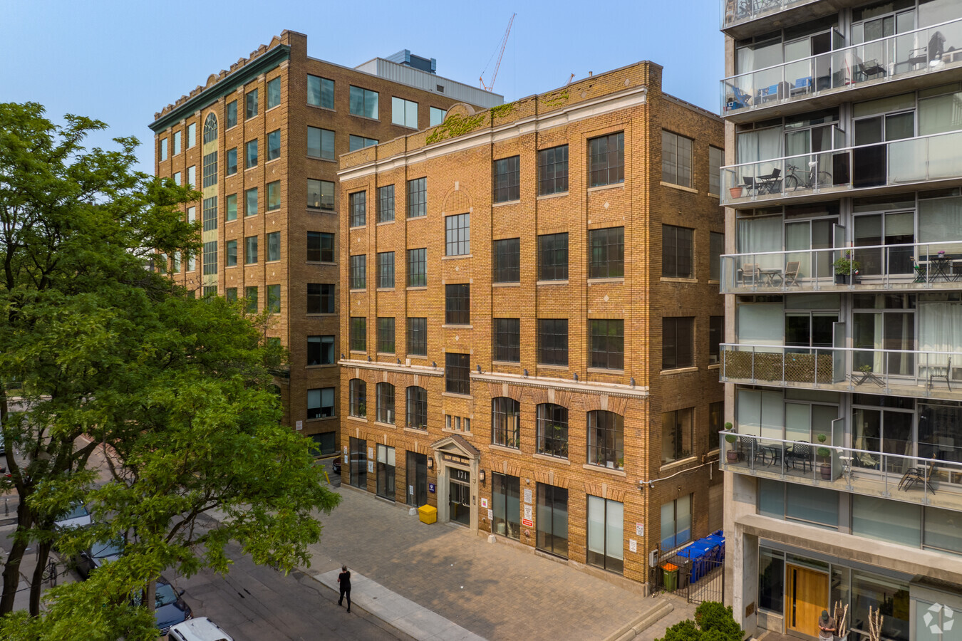 Cohere Doubles Down: Toronto AI Giant Vows to Stay Canadian-Headquartered Amid Merger Buzz