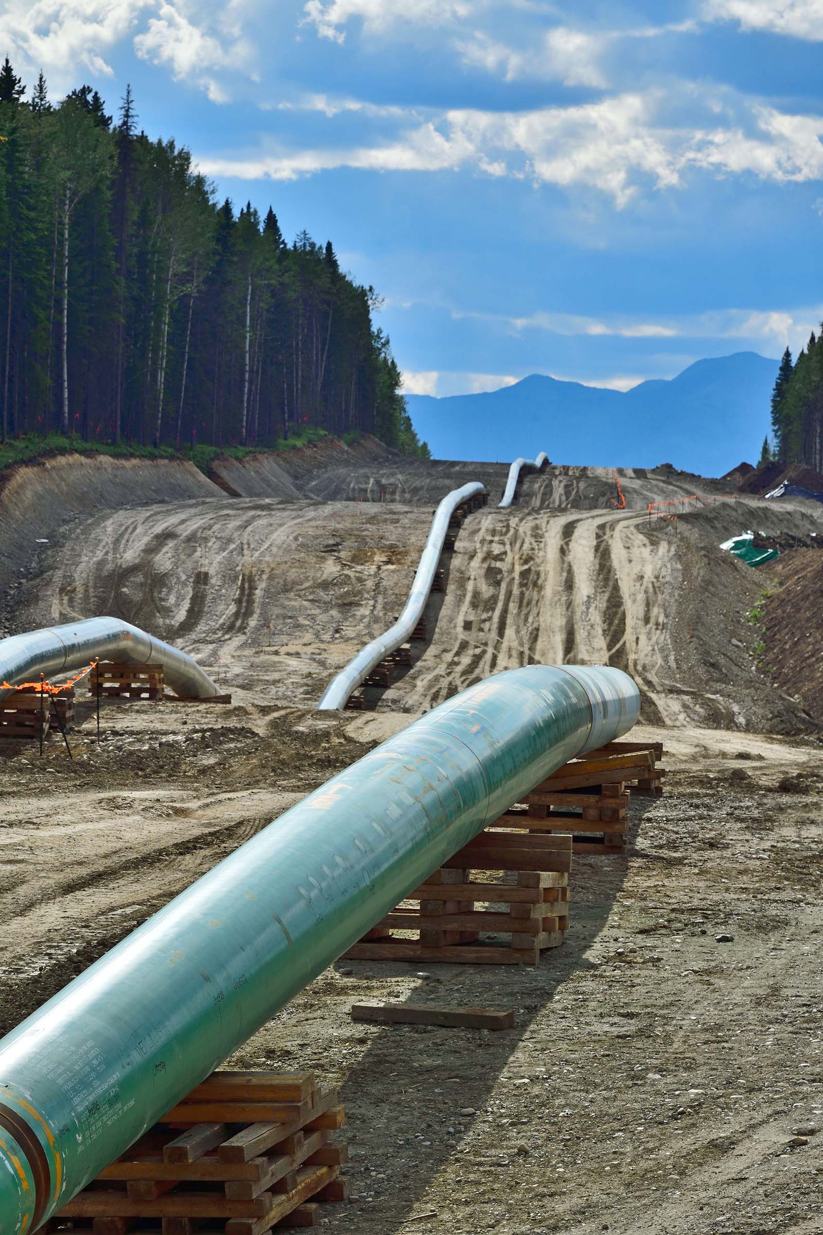 Ottawa Eyes Federal Funding for Alberta's Pacific Pipeline Through Indigenous Investment Program