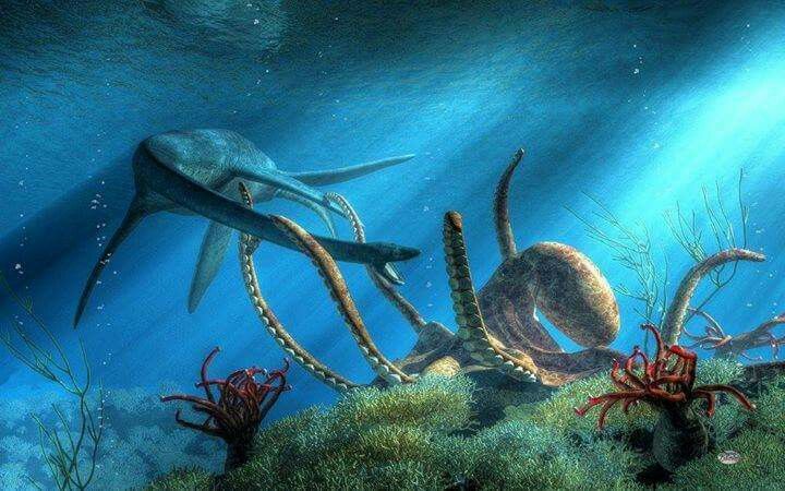 Whale-Sized Octopuses Ruled Ancient Seas Off B.C., Fossils Reveal